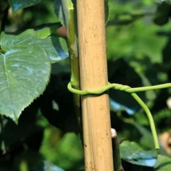 Binddraad Met Rubbercoating - Soft Tie Ø 5 Mm