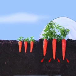 Kweekfolie / Tunnelfolie - 2 × 10 M 5 Kweekfolie / Tunnelfolie - 2 × 10 M -Tuinplantapparatuur Winkel 1534088192 2 600