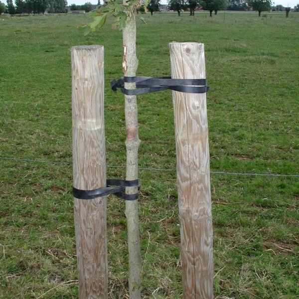 Tree-fix Boombinder 50 Cm/15 Mm - Set Van 10 Stuks 2 Tree-fix Boombinder 50 Cm/15 Mm - Set Van 10 Stuks - Afbeelding 2