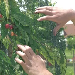 Vogelnet Beschermnet - Pronet 5 × 6 M