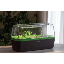 Groeilicht LED Voor Mini-kweekkas 20 Cm - 5 Watt -Tuinplantapparatuur Winkel 1653465884 4 600