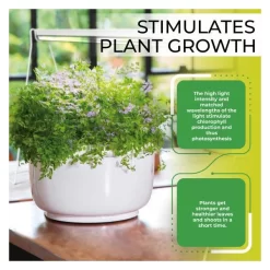 Led Groeilamp Florabooster 200 - 18W - 120 Cm 8 Led Groeilamp Florabooster 200 - 18W - 120 Cm -Tuinplantapparatuur Winkel 1677575756 3 600