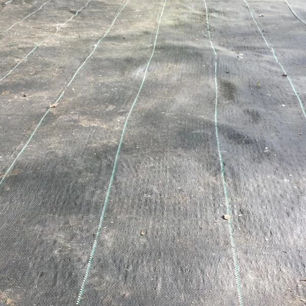 Gronddoek - Onkruidwerend 4 M × 5 M 2 Gronddoek - Onkruidwerend 4 M × 5 M - Afbeelding 2