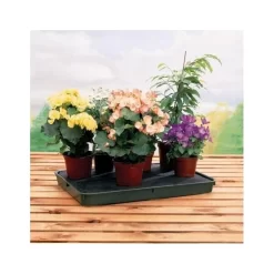 Bewateringstray + Vloeidoek 57 × 39 × 5 Cm 7 Bewateringstray + Vloeidoek 57 × 39 × 5 Cm -Tuinplantapparatuur Winkel bewateringstray vloeidoek 1490112681 1 600
