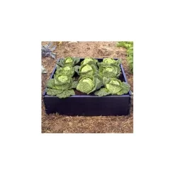 Groeibed Vierkant Kunststof - 97,5 × 97,5 × 25 Cm -Tuinplantapparatuur Winkel groeibed 975 x 975 x 25 cm 1484053179 3 600