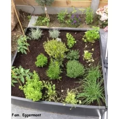 Groeibed Vierkant Kunststof - 97,5 × 97,5 × 25 Cm -Tuinplantapparatuur Winkel groeibed 975 x 975 x 25 cm 1484053179 4 600