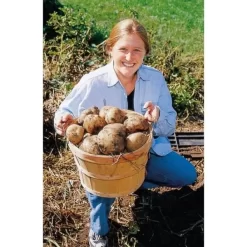 Groeibed Vierkant Kunststof - 97,5 × 97,5 × 25 Cm -Tuinplantapparatuur Winkel groeibed 975 x 975 x 25 cm 1490036317 1 600