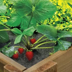 Gronddoek In Vilt Voor Vierkante Moestuin 120 × 120 Cm