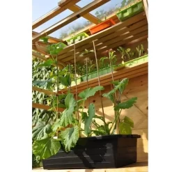 Kweekbak 40 Liter -Tuinplantapparatuur Winkel grote kweekbak 40 liter 1484056513 1 600