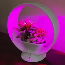 Mini Tuin Jardin Secret Met Verlichting En Bluetooth - Rond -Tuinplantapparatuur Winkel jardin secret met bluetooth rond 1602065218 3 600