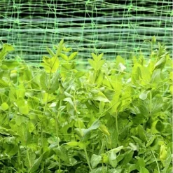 Erwten En Bonen Klimgaas 1,7 × 4 M