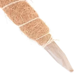 Kokos Kamerplantensteun - Plantstok Ø45 Mm × 1 M 7 Kokos Kamerplantensteun - Plantstok Ø45 Mm × 1 M -Tuinplantapparatuur Winkel kokos plantensteun 45 mm x 1 m 1622717806 4 600