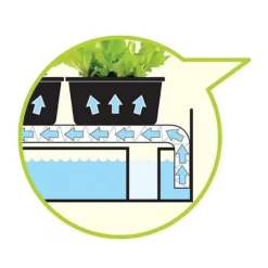 Kweekbak Met Groeilicht En Autobewatering - Wit -Tuinplantapparatuur Winkel kweekbak met groeilicht wit 1484067833 2 600