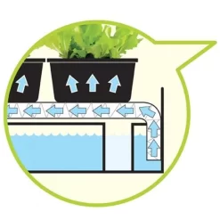 Kweekbak Met Groeilicht En Autobewatering - Zwart 7 Kweekbak Met Groeilicht En Autobewatering - Zwart -Tuinplantapparatuur Winkel kweekbak met groeilicht zwart 1484053321 2 600