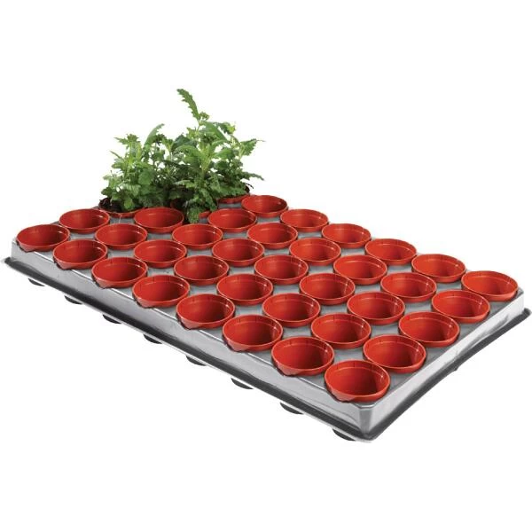 Tray Met 40 Kweekpotjes 6 Cm 3 Tray Met 40 Kweekpotjes 6 Cm - Afbeelding 3