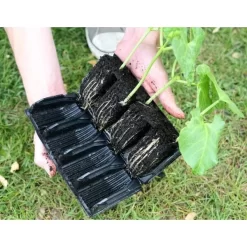 Kweektray Deep Roots - 32 Cellen -Tuinplantapparatuur Winkel kweektray deep roots 32 cellen 1521400145 1 600