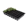 Kweektrays 40 Cellen - Professioneel - Set Van 5 Stuks