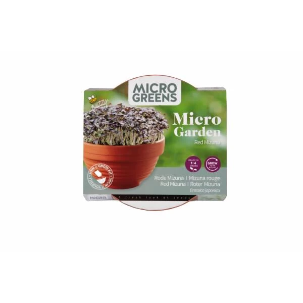 Micro Garden Terracotta Rode Mizuna 1 Micro Garden Terracotta Rode Mizuna