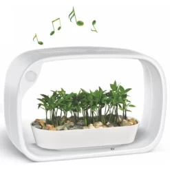 Mini Tuin Jardin Secret Met Ledverlichting En Bluetooth - Rechthoek