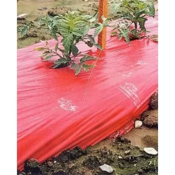 Rode Folie Voor Een Betere Plantengroei -Tuinplantapparatuur Winkel mulchfolie 1577621345 1 600