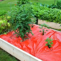 Rode Folie Voor Een Betere Plantengroei -Tuinplantapparatuur Winkel mulchfolie 1577621986 1 600
