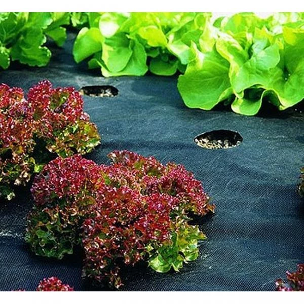 Mulchvlies - Onkruiddoek 5 × 1,5 M - 50g/m² 1 Mulchvlies - Onkruiddoek 5 × 1,5 M - 50g/m²