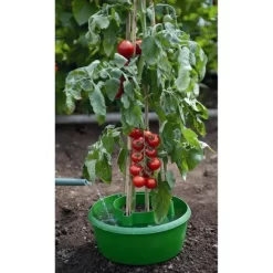 Plant- En Gietpot Groen - Set Van 3 Stuks -Tuinplantapparatuur Winkel plant en gietpot 1484054799 4 600