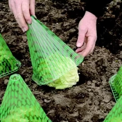 Plantenhoed - Zonnehoed - Set Van 10 Stuks