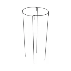 Plantensteun Rond 20 × 50 Cm
