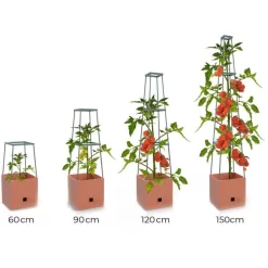 Plantentoren Maxitom Met Waterreservoir - Terracotta -Tuinplantapparatuur Winkel plantentoren maxitom terracotta 1680165024 1 600