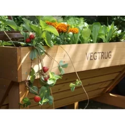 Vegtrug Verhoogde Kweektafel - 1 × 0,8 × 0,8 M -Tuinplantapparatuur Winkel vegtrug 1 m 1484054491 4 600