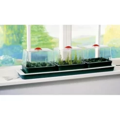 Vensterbankkas Propagator 3-delig Elektrisch 5 Vensterbankkas Propagator 3-delig Elektrisch -Tuinplantapparatuur Winkel vensterbankkas elektrisch 3 kasjes 1484053126 2 600