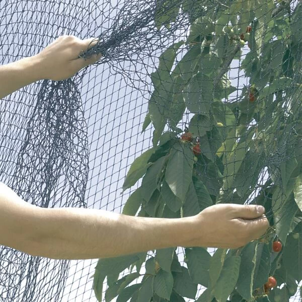 Vogelnet Beschermnet - Pronet 5 × 12 M 2 Vogelnet Beschermnet - Pronet 5 × 12 M - Afbeelding 2