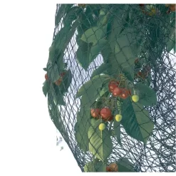 Vogelnet Beschermnet - Pronet 5 × 12 M 5 Vogelnet Beschermnet - Pronet 5 × 12 M -Tuinplantapparatuur Winkel vogelnet pronet 5 x 12 m 1630492275 4 600