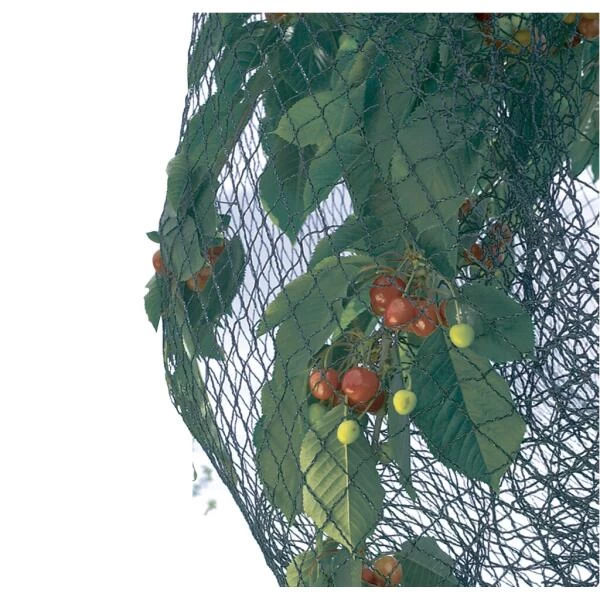 Vogelnet Beschermnet - Pronet 5 × 12 M 3 Vogelnet Beschermnet - Pronet 5 × 12 M - Afbeelding 3