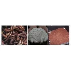 Wormenbak - 4 Laden Groen 5 Wormenbak - 4 Laden Groen -Tuinplantapparatuur Winkel wormenbak 4 laden 1576574255 2 600