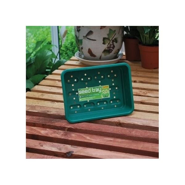 Zaaibakje Groen 23 × 17 Cm 2 Zaaibakje Groen 23 × 17 Cm - Afbeelding 2