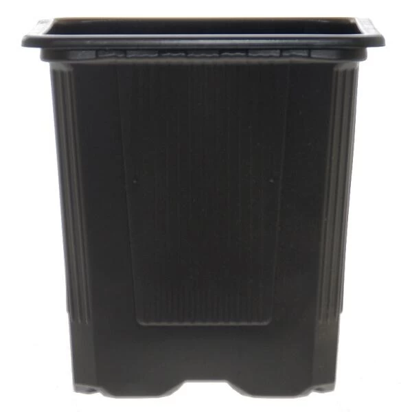 Vierkante Kweekpot - 9 × 9 × 10 Cm - Set Van 18 Stuks 2 Vierkante Kweekpot - 9 × 9 × 10 Cm - Set Van 18 Stuks - Afbeelding 2