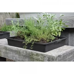 Zaaibak Zwart 57 × 42 × 8 Cm -Tuinplantapparatuur Winkel zwarte zaaibak 55 x 40 x 8 cm 1484055699 4 600