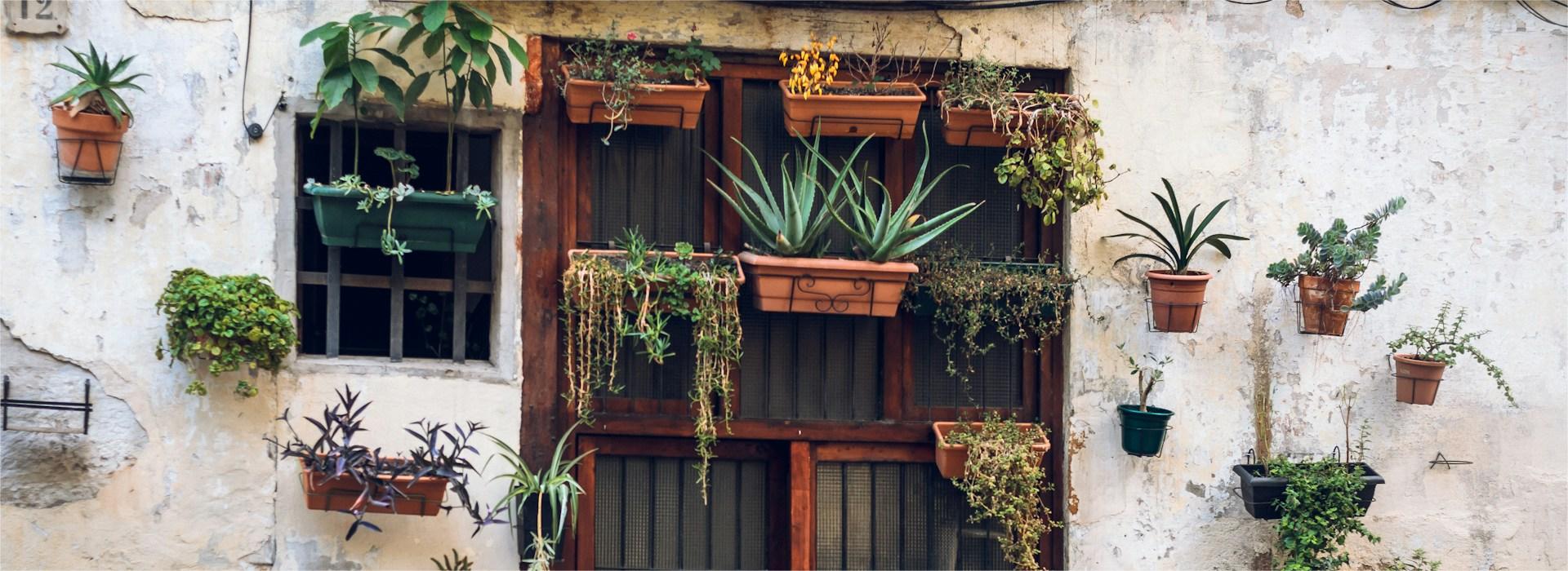 Tuinplantapparatuur Winkel -Tuinplantapparatuur Winkel anastasiia tarasova UXvT8h0kuBo unsplash